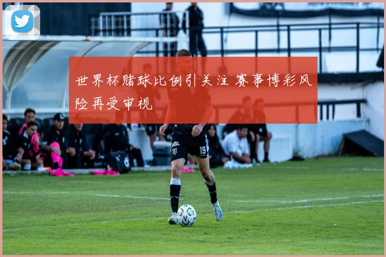 世界杯赌球比例引关注 赛事博彩风险再受审视
