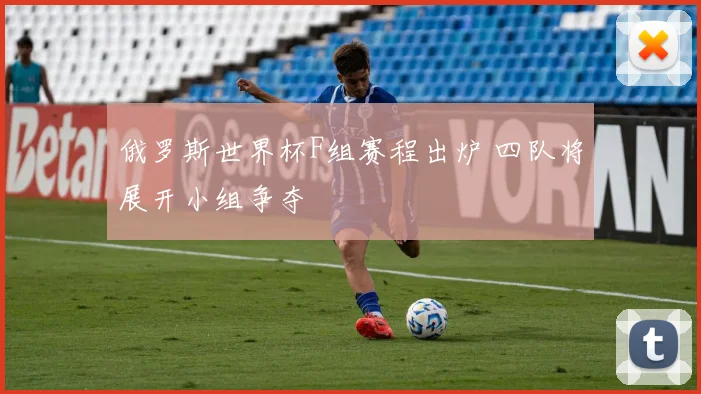 俄罗斯世界杯F组赛程出炉 四队将展开小组争夺